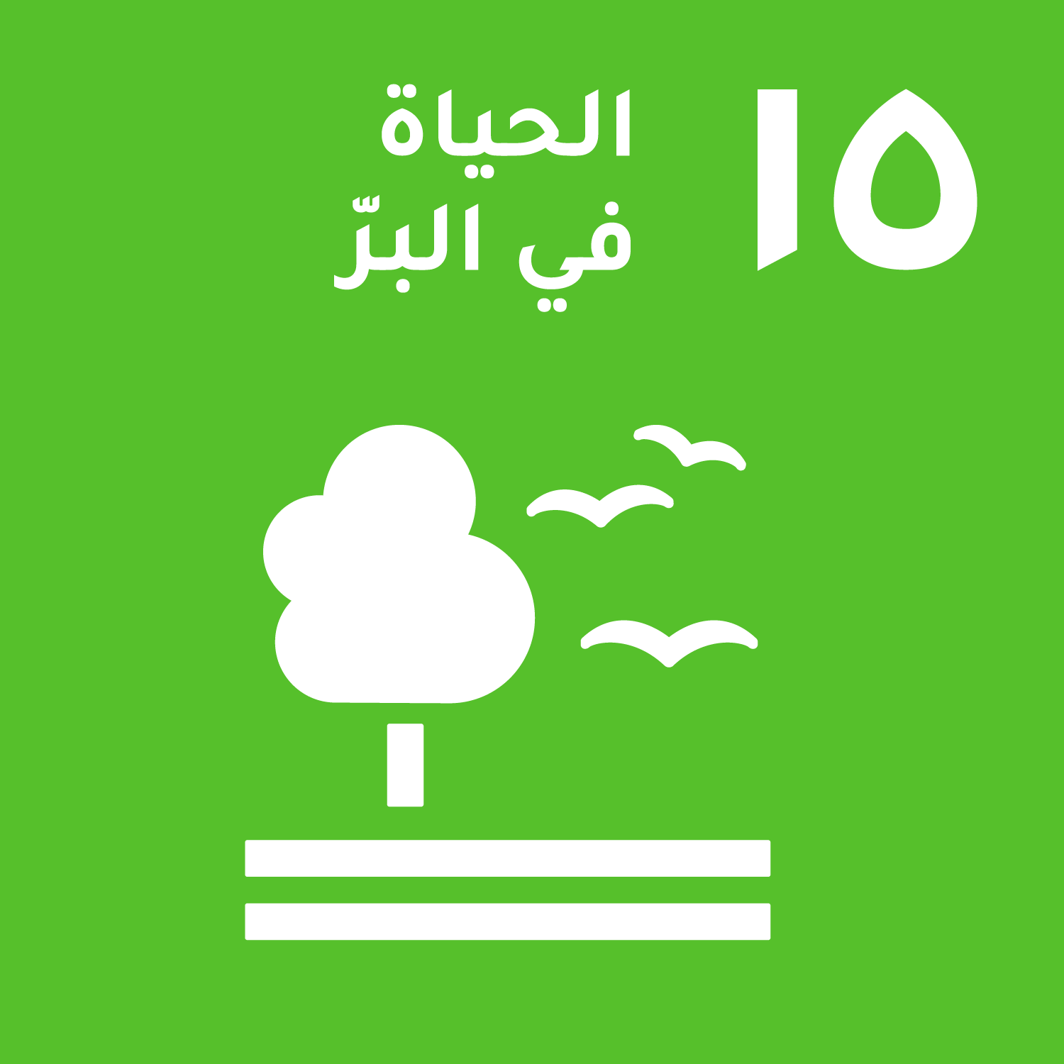 الهدف الخامس عشر/ الحياة في البر